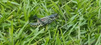 IMG_20230728_170618.jpg