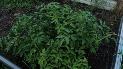 IMG_20240818_181328.jpg