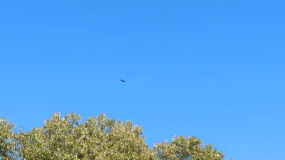 IMG_20241008_143427_284.jpg